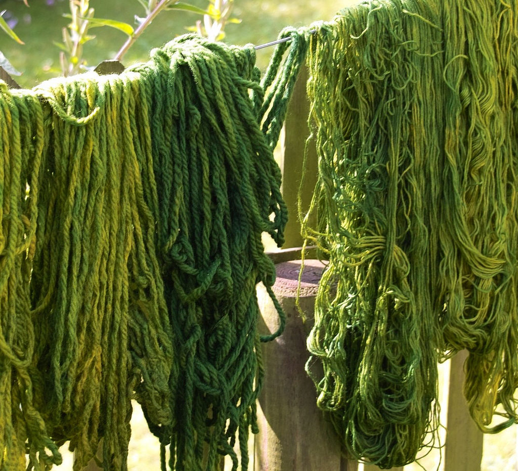 El color del 2017 Greenery, foto inspiracional por Angelika Kondilis